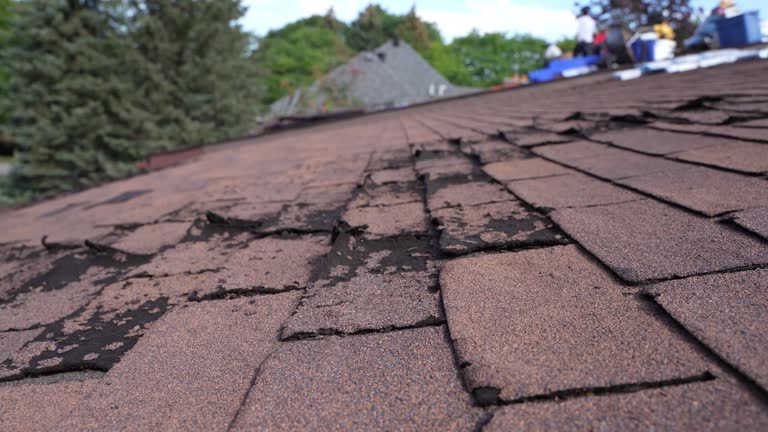 Best Sheet Metal Roofing  in River Road, NC
